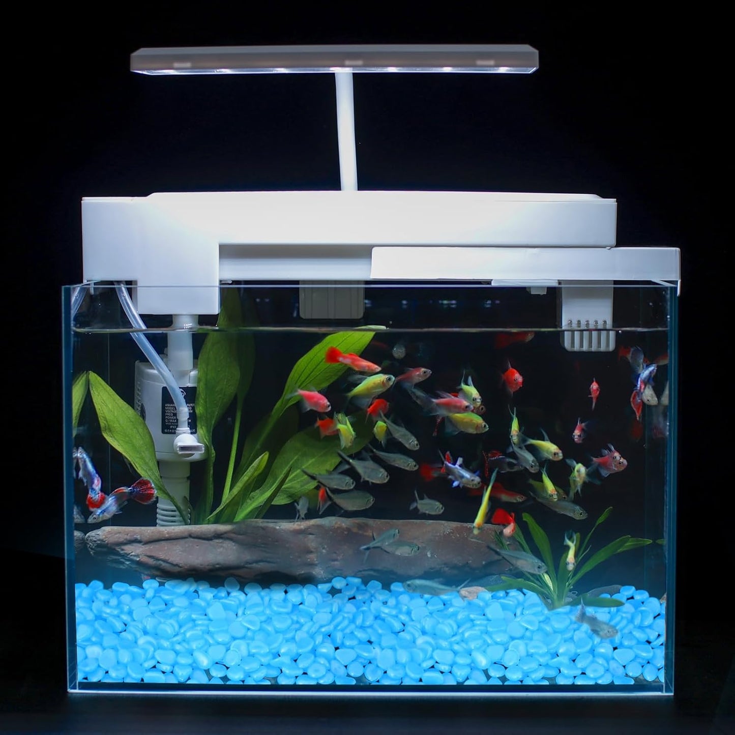 Oubest Glow in The Dark Rocks for Outdoor Landscaping Garden Stones, 0.8 Inch Blue Glow Pebbles Luminous Stones Decorative Rocks for Vases Pathway Walkway Yard Patio Fountain Driveway, 150PCS, Blue