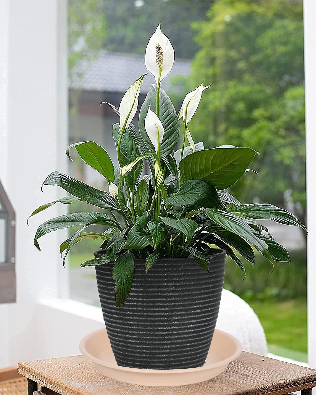 2 Pack Plant Saucer Drip Tray 11 12 inch, Pot Base for Plants Indoor, Plastic Flower Planter Saucers and Drip Trays for Outdoors, Heavy Durable Plant Plate Water Catcher (12", Beige)