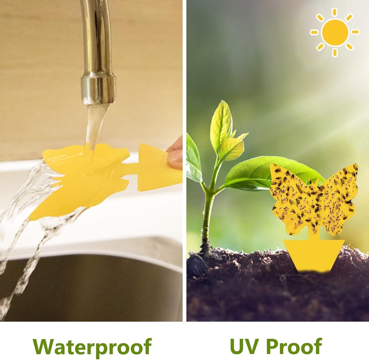 120 Pack Fungus Gnat Traps for House Indoor, Fungus Traps Fruit Fly Traps for Indoors Gnats Sticky Traps for Plants Yellow Sticky Traps for Gnats