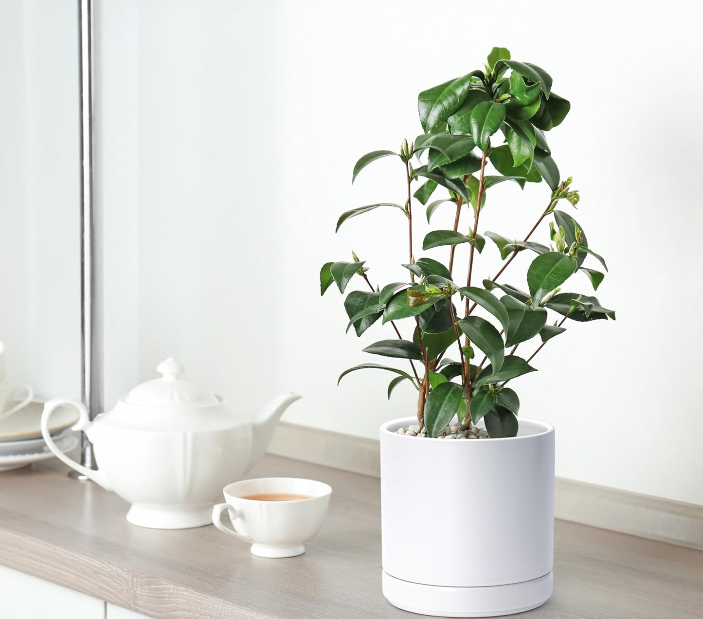 D'vine Dev 6.5 Inch & 8.2 Inch Ceramic Planter Pots for Plants with Drainage Hole and Saucer, Medium Plant Pots Set, White, 94-G-M-1