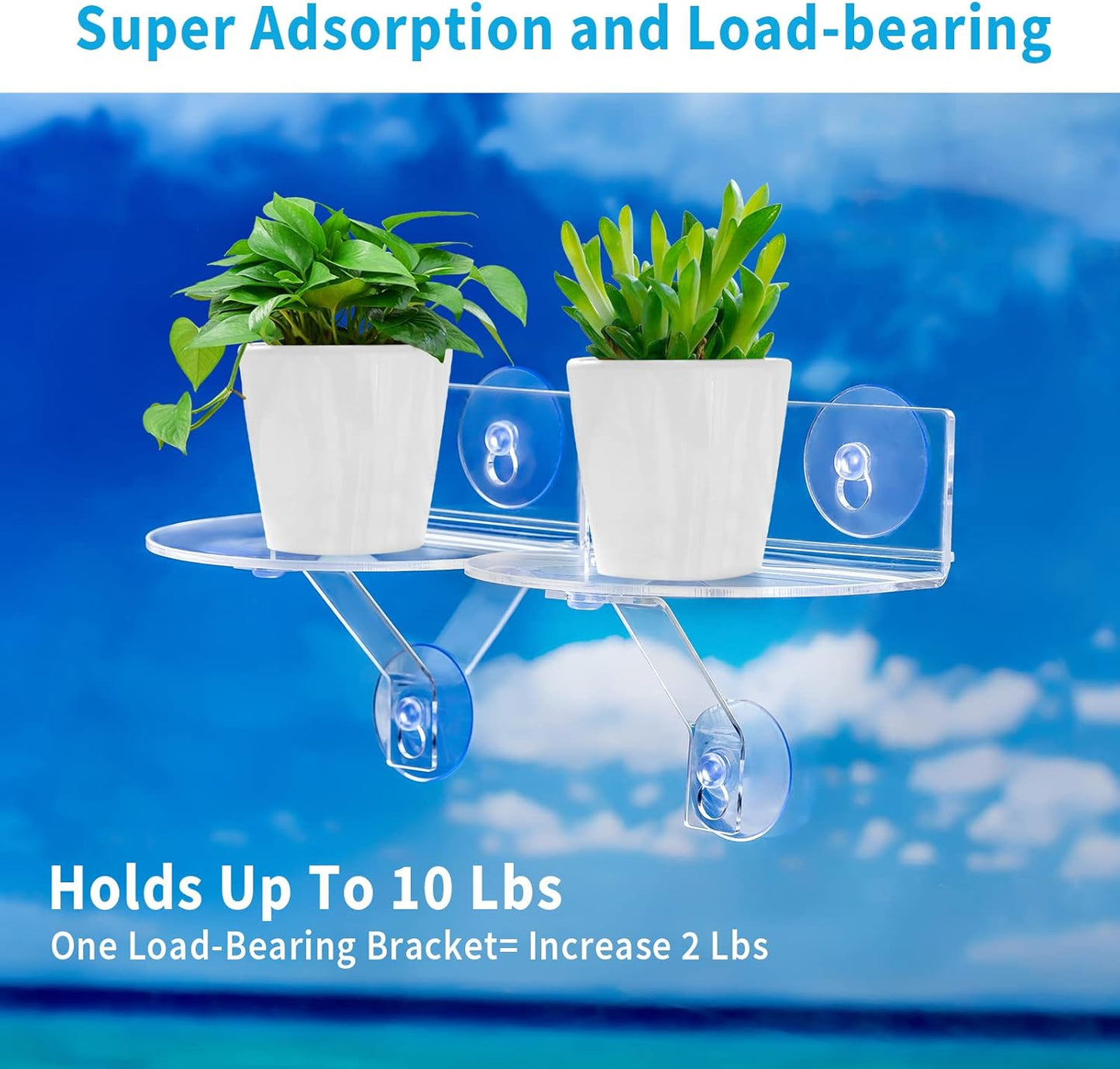 2-Pack Acrylic Window Plant Shelves with Suction Cups & Support Brackets - Semicircular Window Sill Extender for Herb Pots, Succulents, Flower Boxes, Micro Greens | Indoor/Outdoor Use