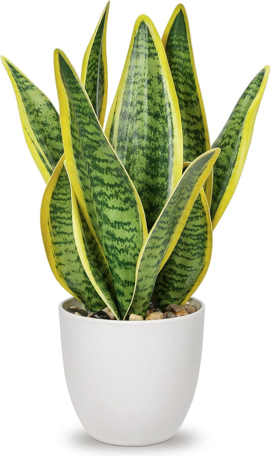 Hollyone Artificial Snake Plant Potted Faux Sansevieria Trifasciata Plants, 13" Tropical Fake Plants in White Pots for Home Office Room Indoor Decor Housewarming Gifts
