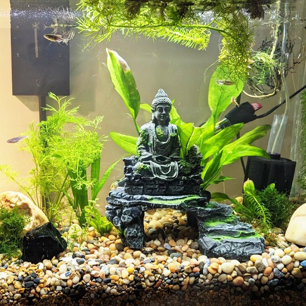 Rocks for Plants 5 Lbs, 0.8-1.5 Inch High Polished Pebbels, Decorative Stones for Garden Landscaping, Smooth Gravel Filler for Outdoor Plants, Succulents, Fish Tank and Vases