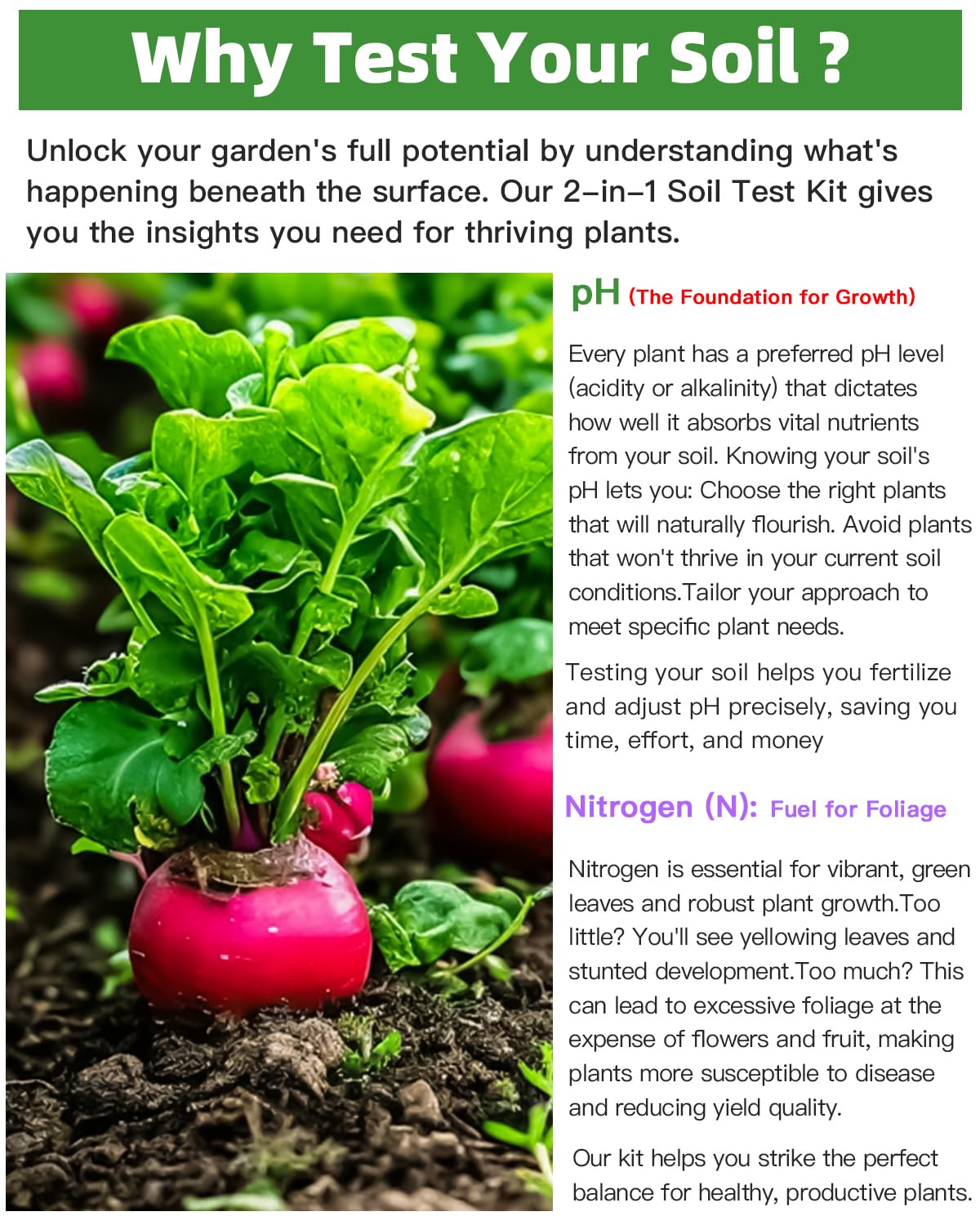 2-in-1 pH & Nitrogen Soil Test Kit, Home Soil Testing Kit for Lawns Gardening Grass Vegetables Nutrients, Soil pH Nitrogen Tester Strips Separately Sealed in Foils, Easy to Use, Rapid Results