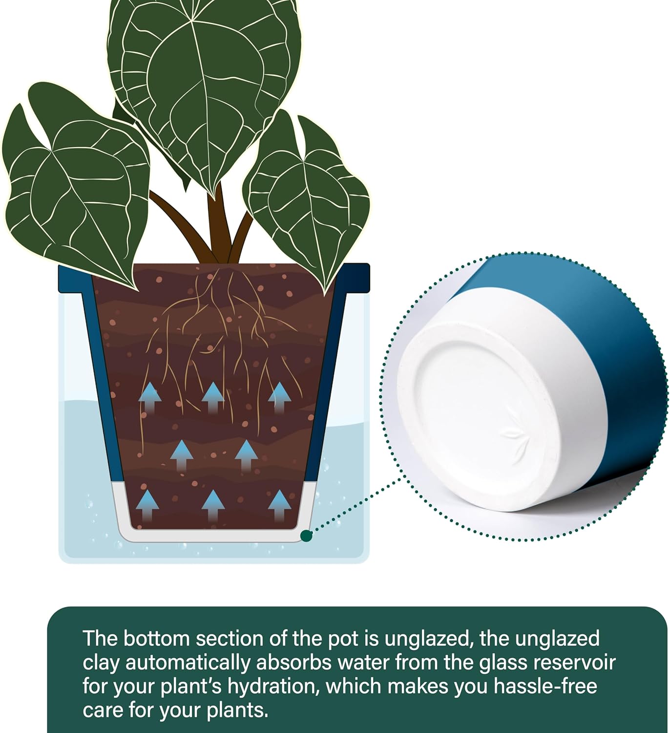 D'vine Dev 6 Inch Design Self Watering Planter for Indoor Plants, Blue Terracotta Pot with Cylinder Glass Cup, Set of 2, 37-Y-B-4