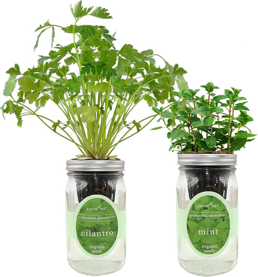2-Pack Hydroponic Mason Jar Herb Garden Kit, Indoor Herb Garden Self-Watering Starter Kit (Cilantro,Mint)
