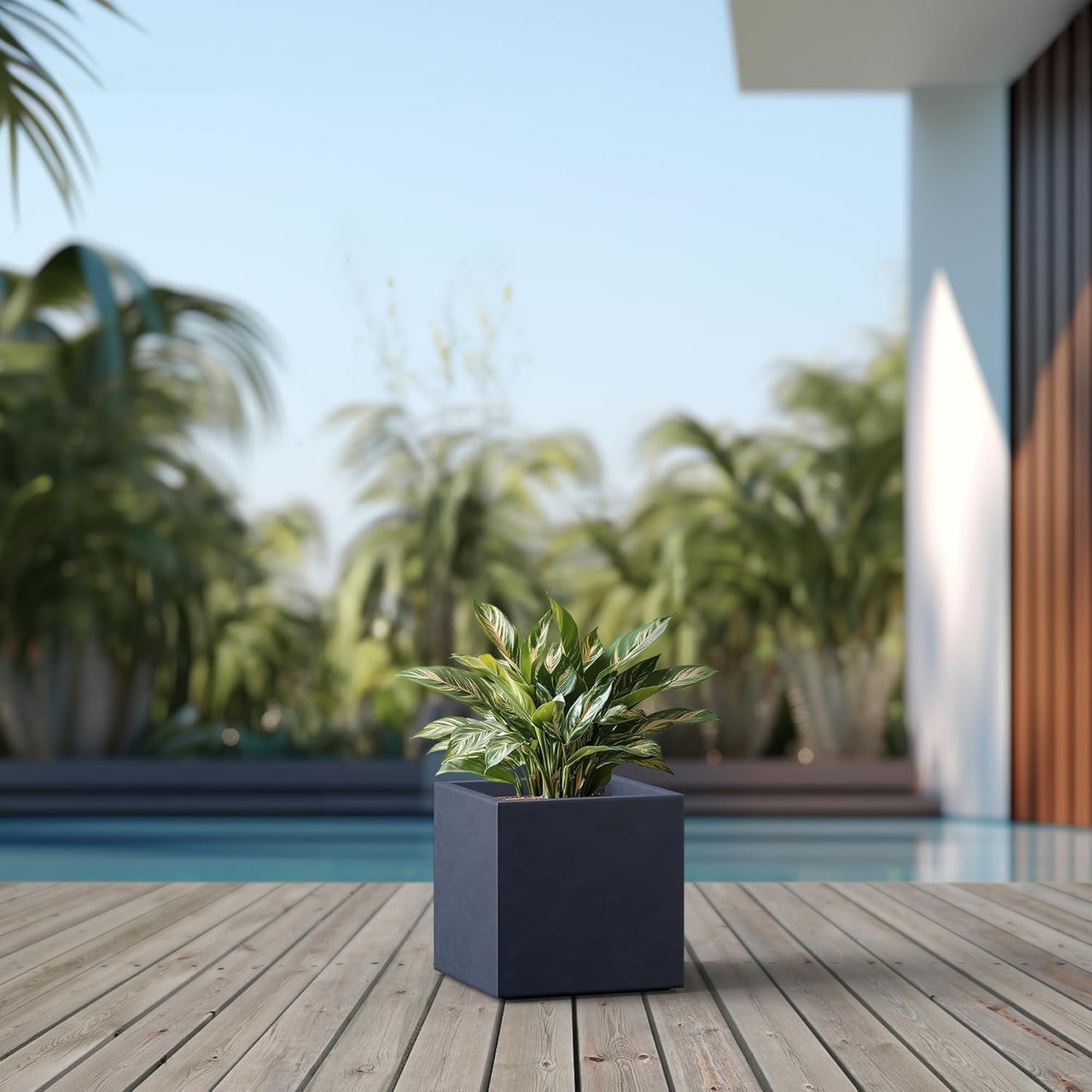 Kante 10 Inch Square Concrete Planter for Outdoor Indoor Home Patio Garden, Large Plant Pot with Drainage Hole and Rubber Plug, Charcoal