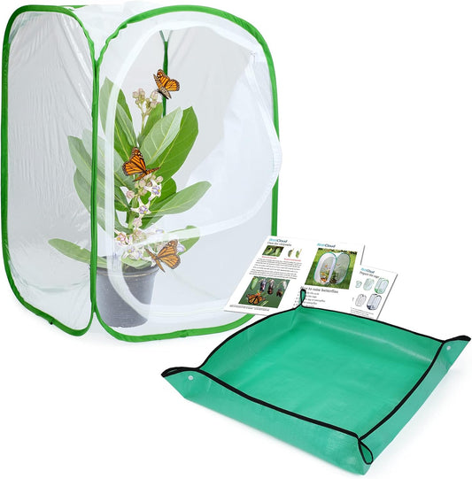 Butterfly Habitat with Poo Platter, Cage with Poo Mat, Monarch Butterfly Cage 24 Inches Tall