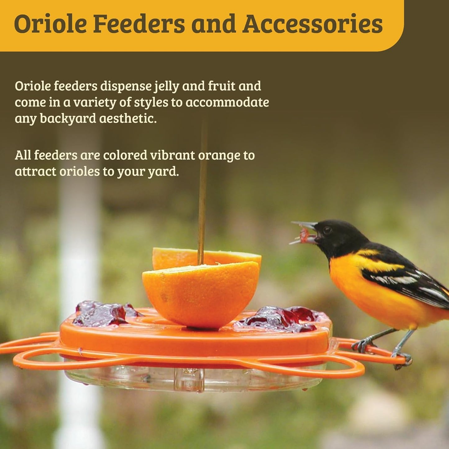 Birds Choice Oriolefest Oriole Bird Feeder | Hanging Bird Feeder for Jelly, Oranges & Nectar | 4 Feeding Ports & Trays with Ant Moat & Bee Guards | Sturdy for Garden & Backyard | 12 oz, Orange