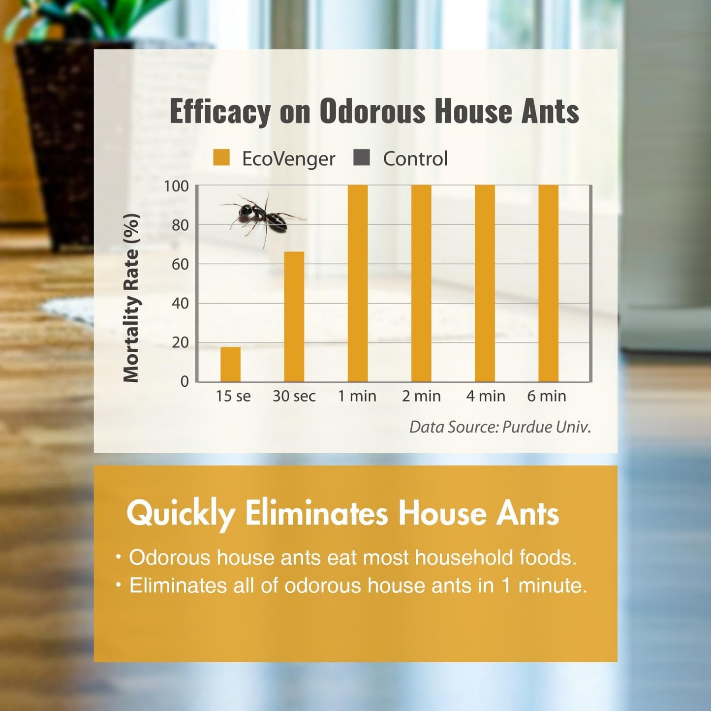 EcoVenger Ant Killer & Crawling Insect Killer (Citrus Scent) 16 oz, Kills Fast in Minutes, Also Kills Spiders, Centipedes & More, Repels with Residual, Natural & Non-Toxic, Safe for Children & Pets