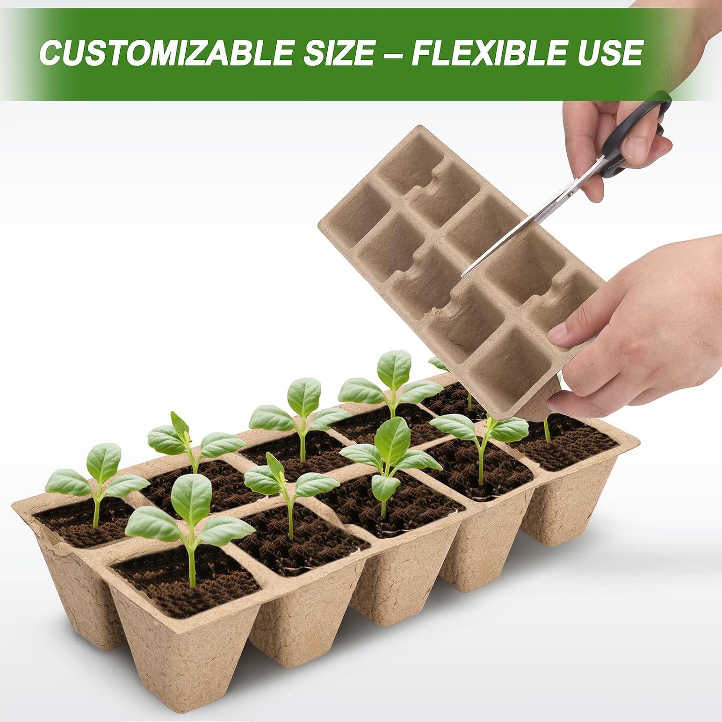 200 Cells Peat Pots, Seed Starter Trays Planting Trays for Seedlings, 20 Pack Germination Trays Peat Pot with 20 Labels