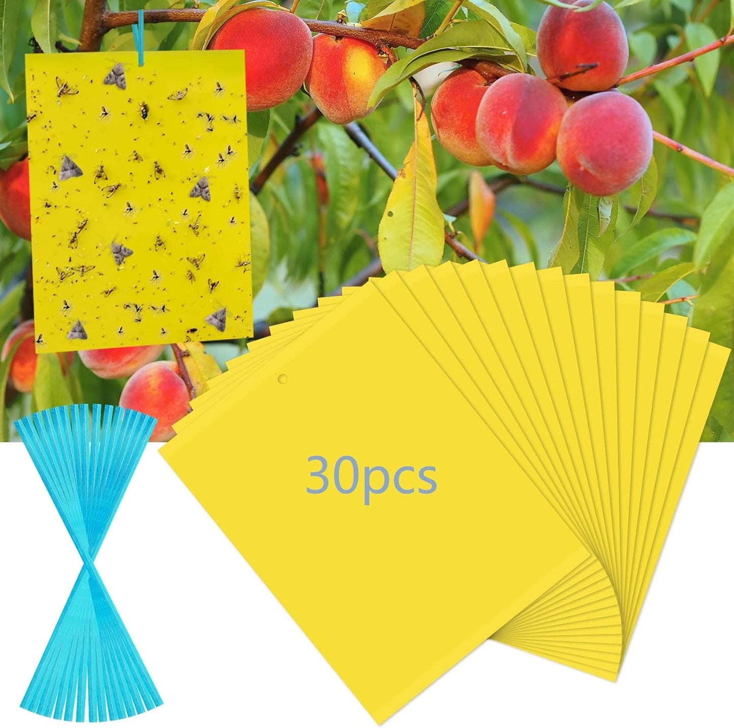 30 Pack Yellow Sticky Traps Fruit Fly Trap, Double-Sided Fungus Gnat Trap Insects Pest Killer for Outdoor Indoor