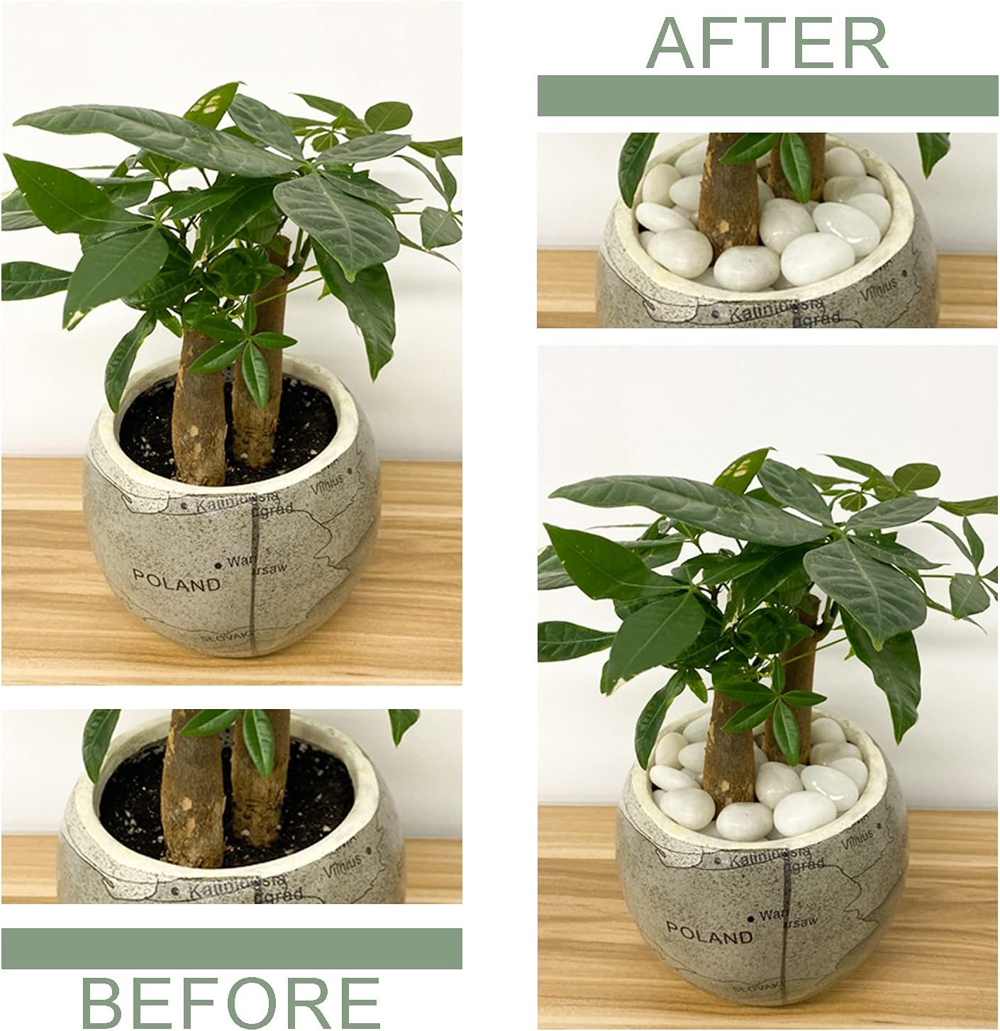 2lbs Small White Pebbles for Plants, 0.8-1.2 inch Decorative River Rocks for Plants, Aquariums, Landscaping. White Stones for Planter Vase and Outdoor Garden Rocks