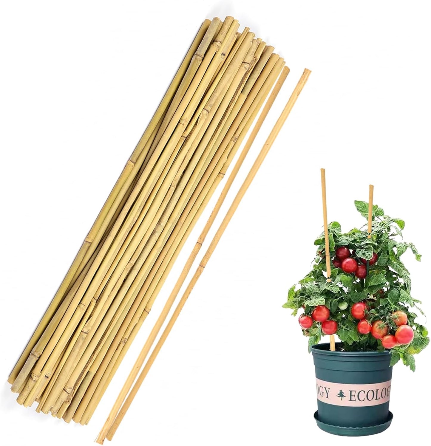 40pcs Natural Bamboo Sticks for Indoor and Outdoor Plants, 16 Inch Plant Support Stakes for Tomato, Beans, Potted Plants and Vegetable