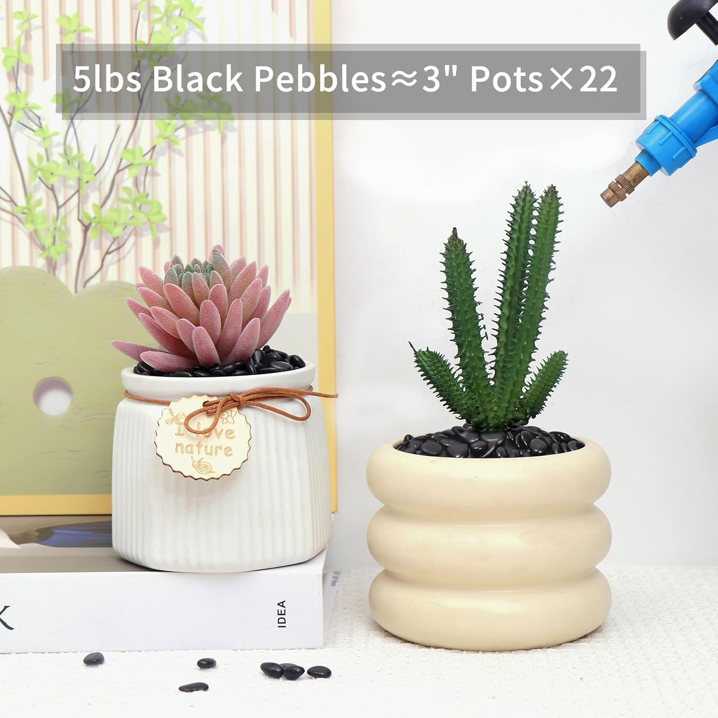 5LB Black Pebbles for Indoor Plants, Vases, Succulent, 3/8 Inch Small Black Rocks for Plants, Polished & Decorative