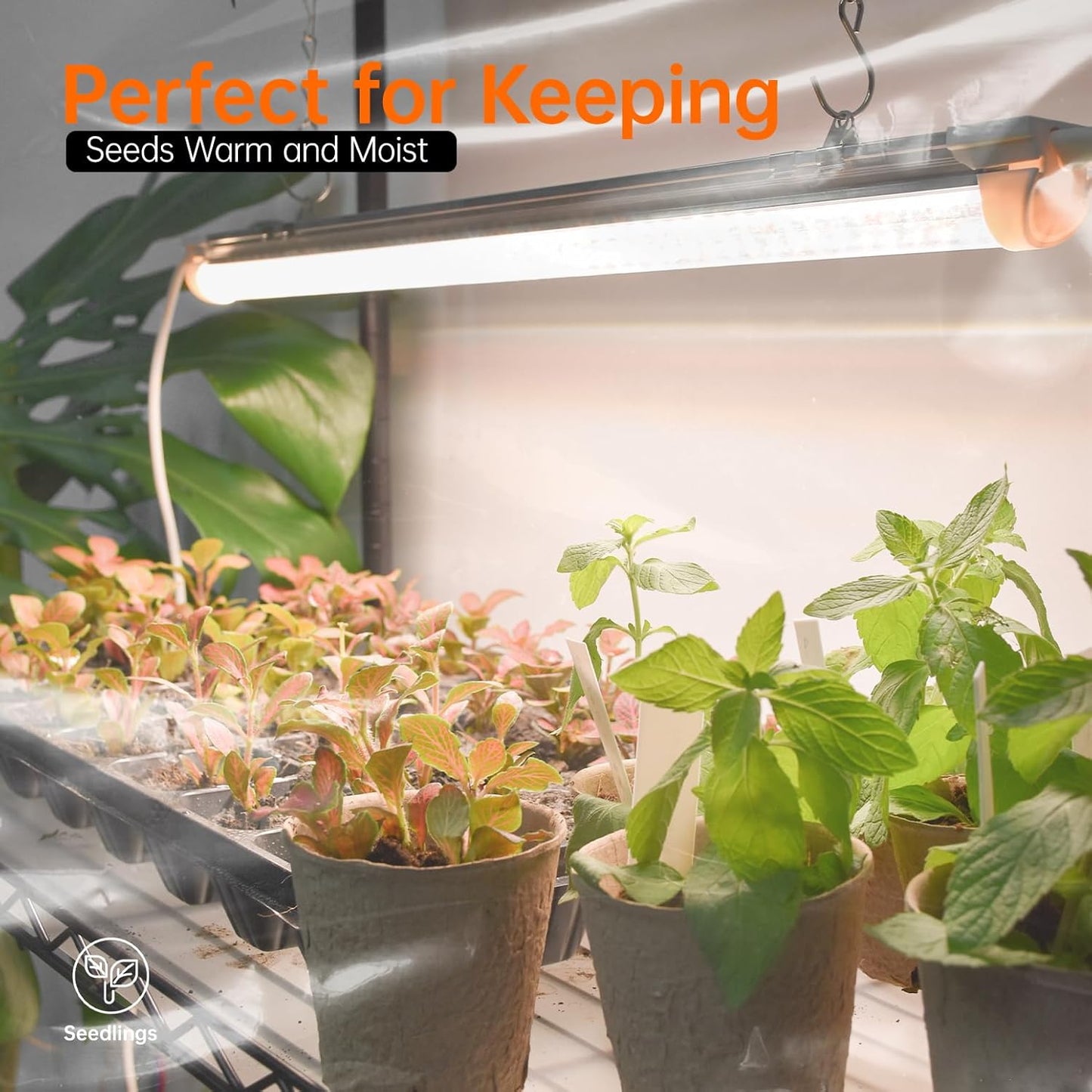 Indoor Greenhouse with Grow Light, Mini Green house with 4 Pack 24W Full Spectrum Plant Lights with Timer, Plant Shelf with Tent for Indoor Plant, Seed Starting, Seed Tray, 23.5"x13.8"x59"