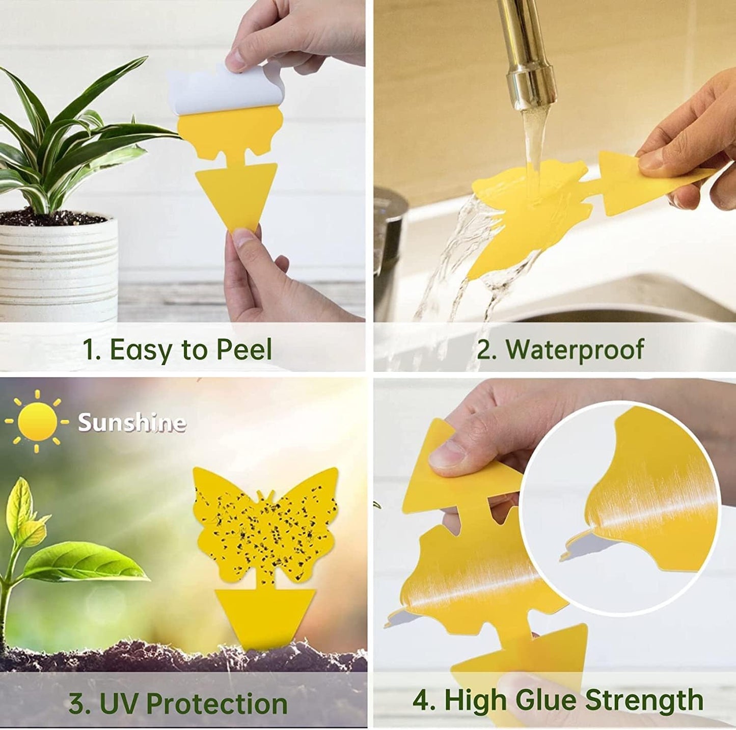 36 Pack Fruit Fly Traps for Indoors, Gnat Traps for House Indoor, Sticky Traps Fungus Gnats Killer for Mosquito and Flying Insects, Bug Pest Insect Catcher Killer for Houseplant