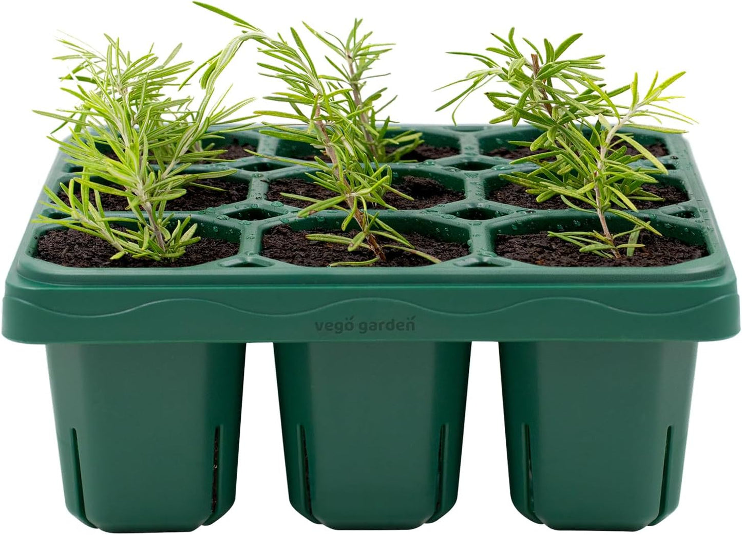 Vego garden Giga Seedling Trays - 8 Pack, 9-Cell UV-Resistant Reusable Starter Trays for Greenhouse/Garden (No Lids)