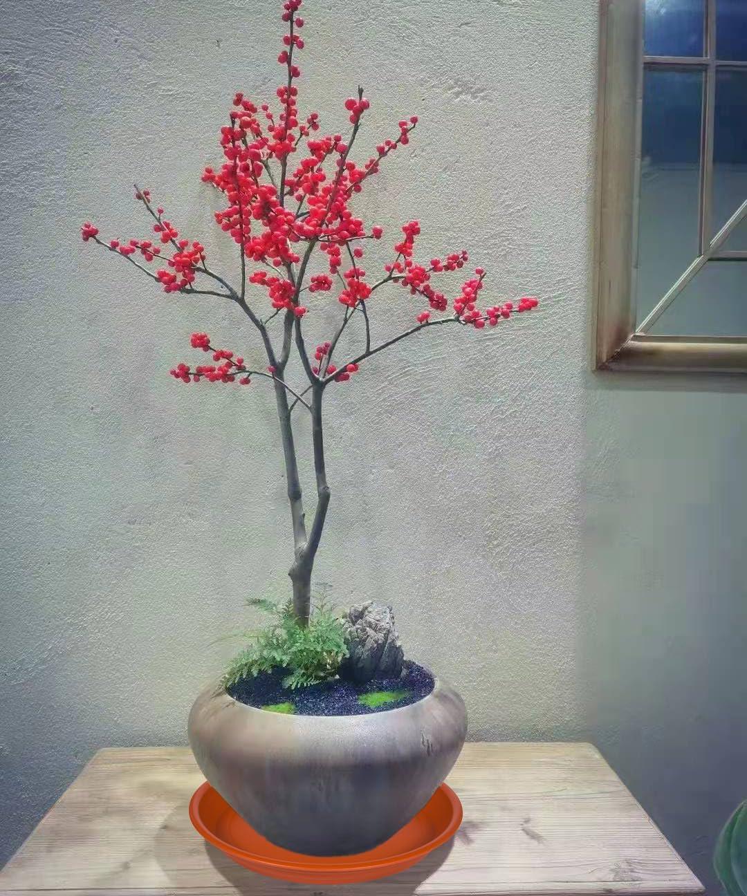 2 Pack Plant Saucer Drip Tray 13 14 inch, Large Plastic Flower Planter Saucers and Drip Trays for Indoors Outdoors, Heavy Durable Plant Plate Water Catcher (14", Terracotta)