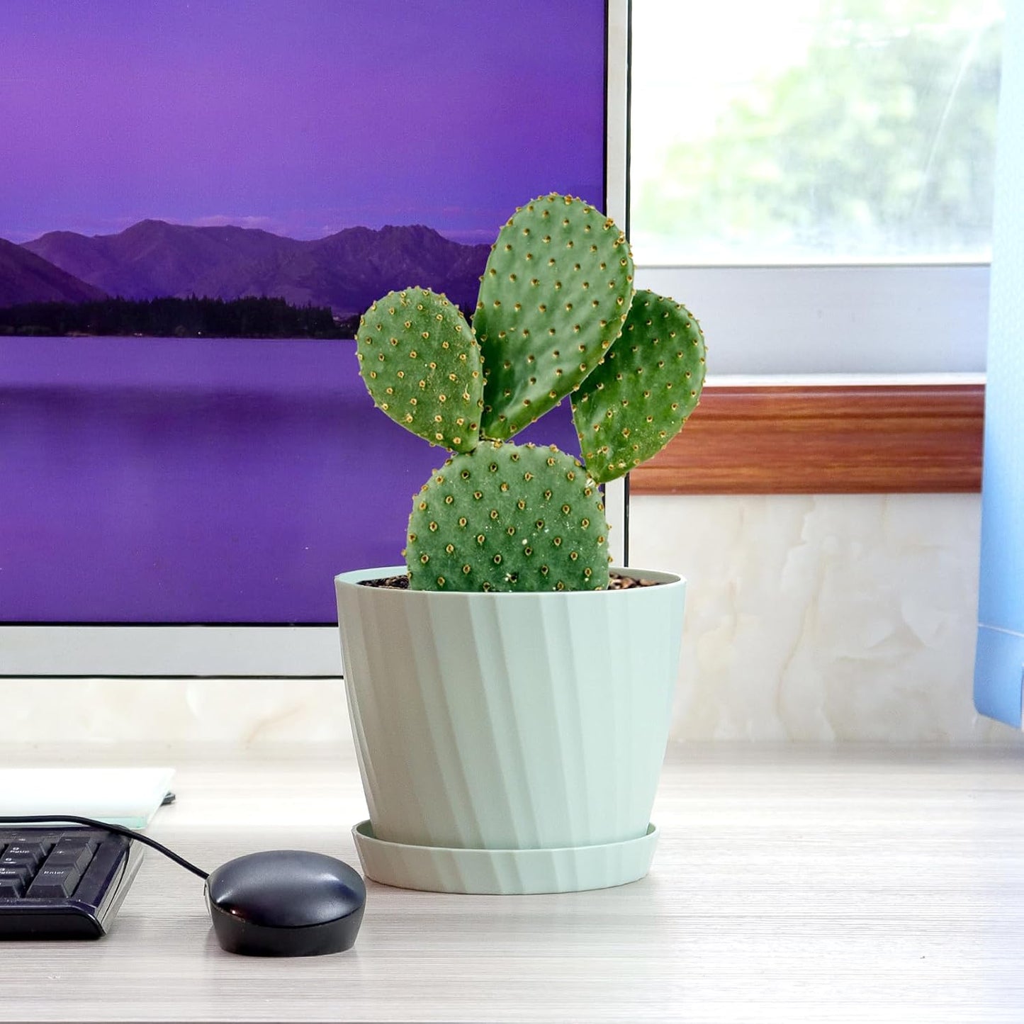 6 Inch Plant Pots Bulk, 6 Pack Plastic Planters with Drainage Holes and Saucers for Indoor Outdoor House Plants and Flowers, Colorful