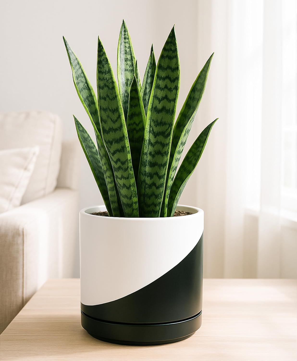 D'vine Dev 8.2 Inch Ceramic Planter Pot with Drainage Hole and Saucer, Indoor Cylinder Round Planter Pot, Oblique Monochrome Black and White, 94-O-D-K