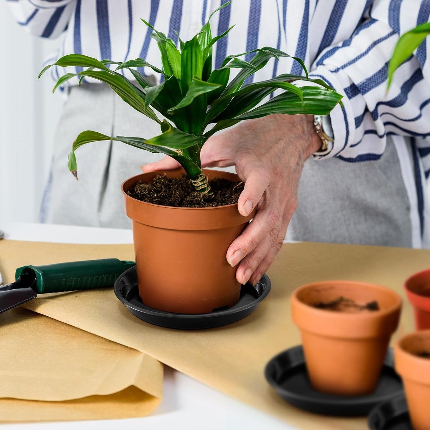 Eccliy 6 Pack Plastic Plant Saucer Heavy Duty Planter Saucers Large Plant Pot Plastic Water Trays for Indoors and Outdoors Flower Drip (8 Inch,Black)