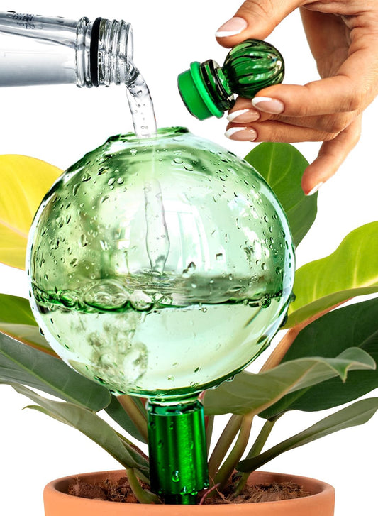 16 Oz Plant Watering Globes for Indoor Plants with Metal Self Watering Planter Insert - Premium XL Glass Hand-Blown Globe - Automatic Plant Waterer Indoor, Gift Idea for Gardeners [1 Globe, Green]