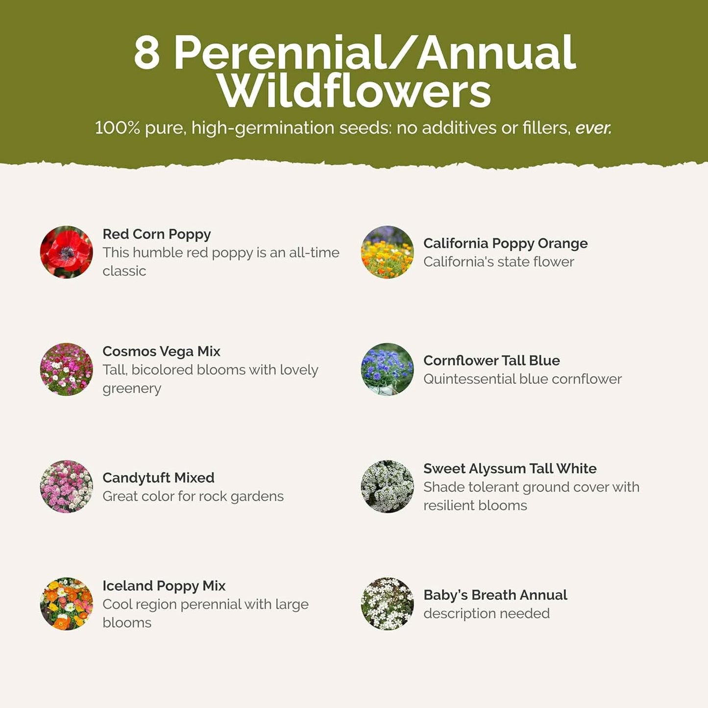 Eden Brothers Rugged Beauty Flower Mixed Seeds for Planting, 5 lb, 2,400,000+ Seeds with Cornflower Tall Blue, Candytuft | Attracts Pollinators, Plant in Spring or Fall, Zones 3, 4, 5, 6, 7, 8, 9, 10