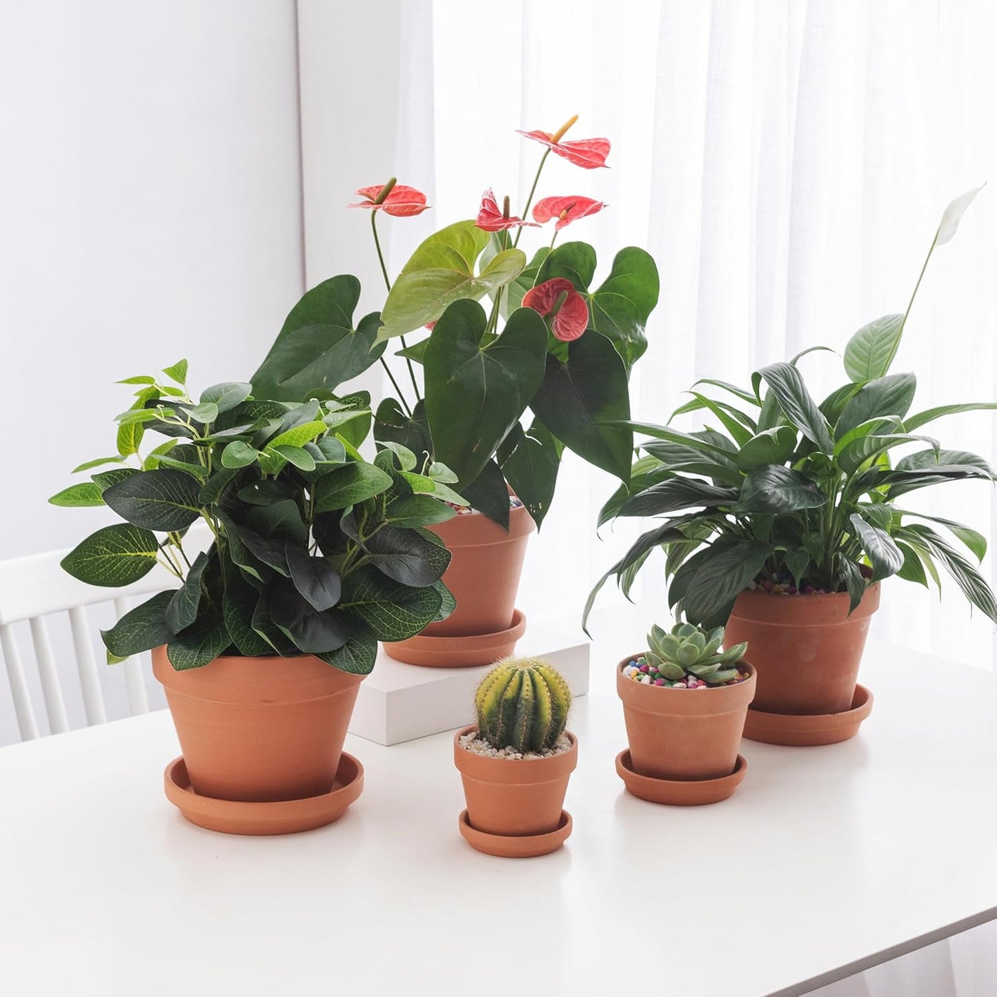 Fcacti 3 inch Small Terra Cotta Plant Saucers, Round Pot Drip Trays,Durable Thicker Clay Plant Tray Flower Pot Saucers for Outdoors Indoors Flower Pots and Planters,Pack of 30