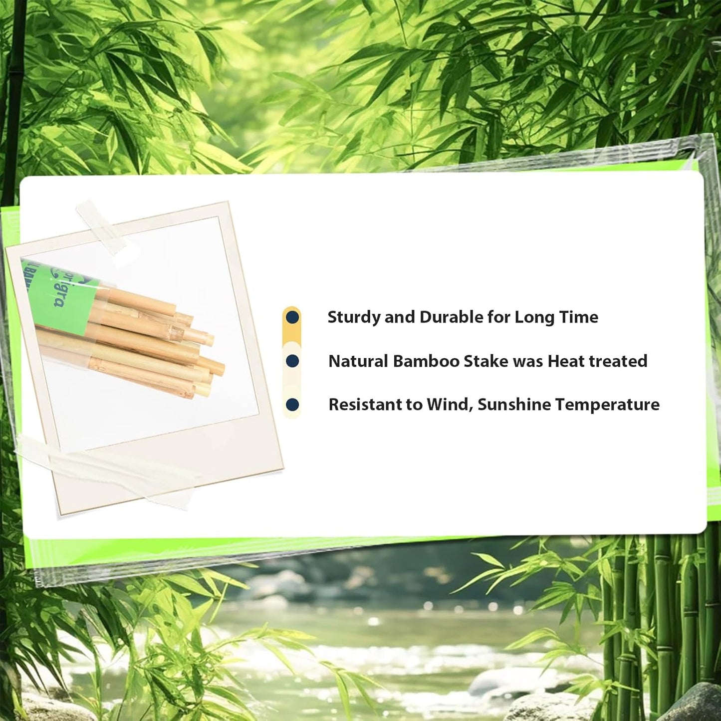 Bamboo Stakes 4 FT 30pcs, 48 inch Garden Stakes Multi-Purpose, Plant Stakes for Tomatoes, Beans, Cucumbers, Peppers, Flowers, Potted, Maintain The Plant Posture, Strengthen and Stem