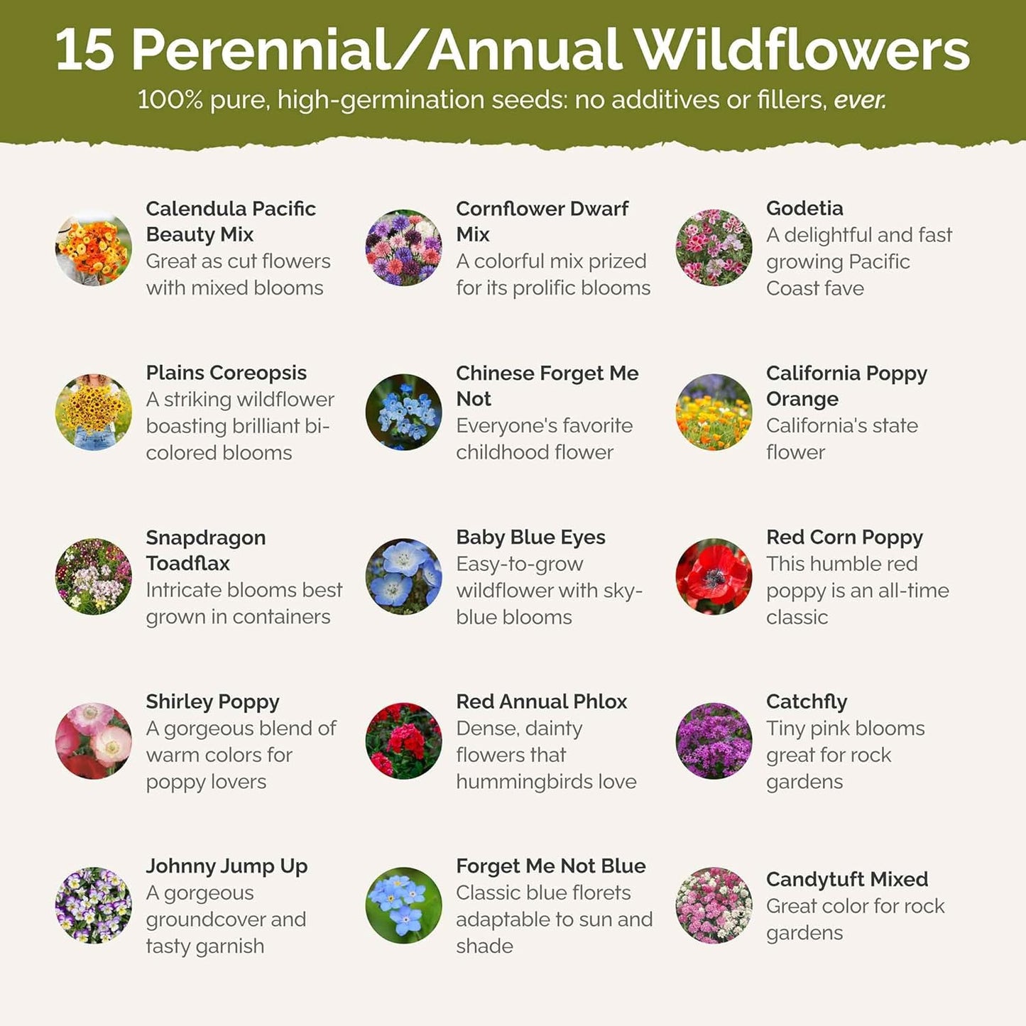 Eden Brothers Shorty Low Grow Wildflower Mixed Seeds for Planting, 10 lb, 4,800,000+ Seeds with Calendula, Cornflower | Attracts Pollinators, Plant in Spring or Fall, Zones 3, 4, 5, 6, 7, 8, 9, 10