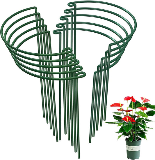 10-Pack Half Round Snake Plant Support Stakes, Plant Support Ring for Hydrangea, Peony, Dahlia and More, Rust-Proof Plant Cages for Indoor and Outdoor Potted Plants (14x8Inch)