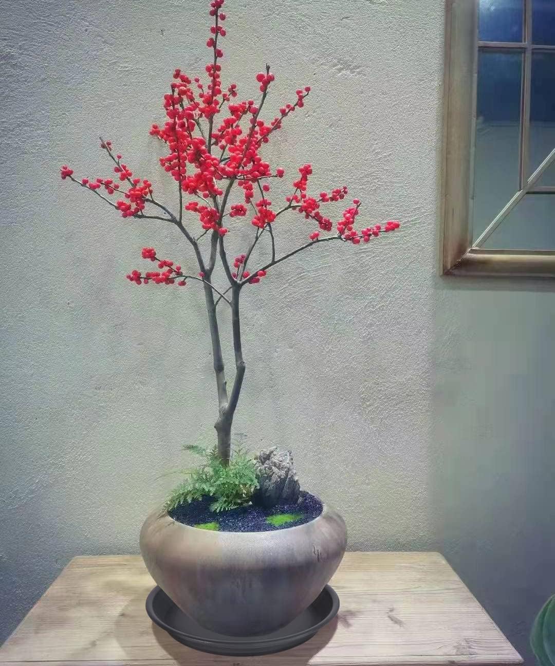 2 Pack of 18 19 inch Plant Saucer, Large Deep Plastic Flower Planter Saucers and Drip Trays for Indoors Outdoors, Heavy Durable Plant Plate Water Catcher, Tray for Planter 15-19" (18", Black)