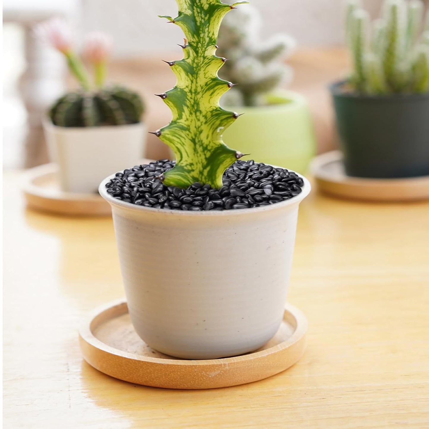 10 lbs Black Pebbles for Indoor Plants, Succulent, Bamboo, Vase, 3/8" Plant Rocks for Pots Indoor, Small River Rocks Decorative Pea Gravel, Highly Polished