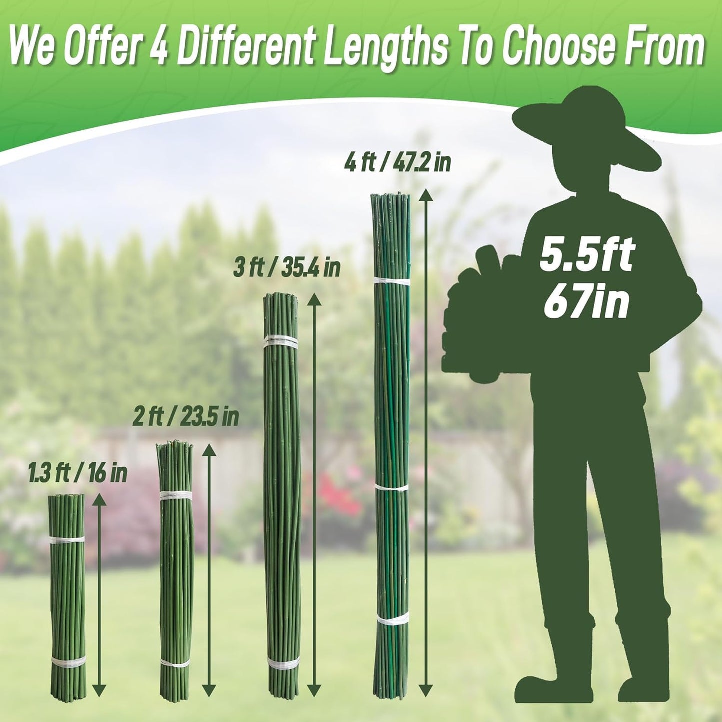 50Pcs 2ft Bamboo Sticks for Indoor Outdoor Plants, 0.29"-0.38" Natural Bamboo Poles, Durable Garden Stakes for Tomatoes, Beans, Flowers and Potted Plants