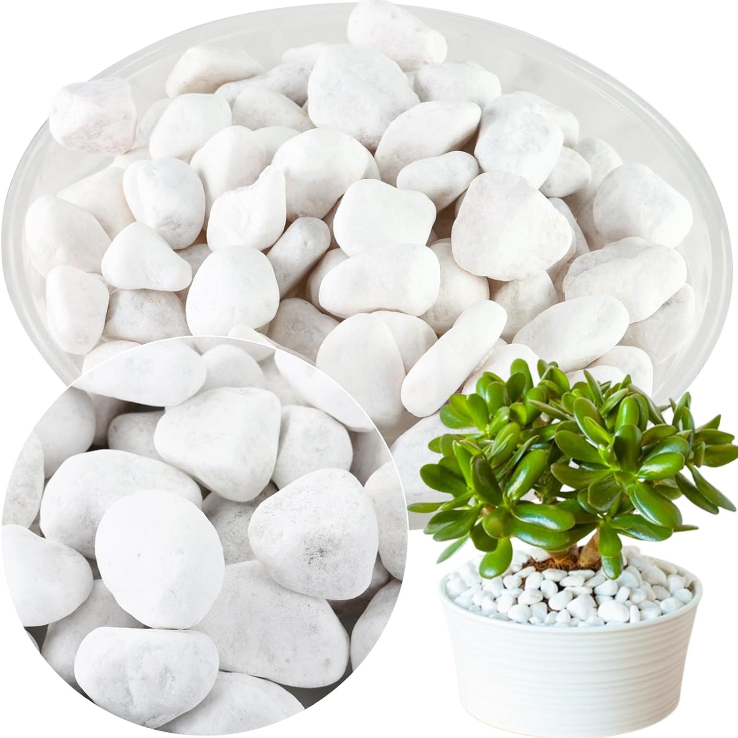 17.6 Lbs Natural River Rocks for Plants 1''-2'' Large Landscaping Garden Stones White Aquarium Gravel Decorative Pebbles for Indoor Outdoor Planters, Big Terrarium Rocks in Bulk, Home Decor
