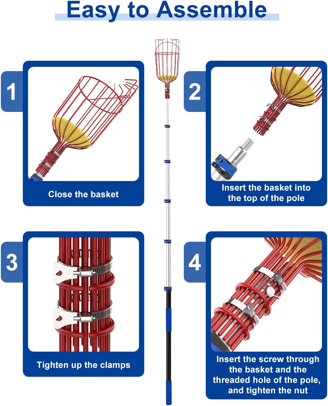 30FT Reach Fruit Picker, 5-24 Foot Sturdy Aluminum Telescoping Fruit Picker Extension Pole with Metal Twist-on Basket, Suit for Apple Pear Lemon Mango Guava Orange Avocados Tree Fruit Picking