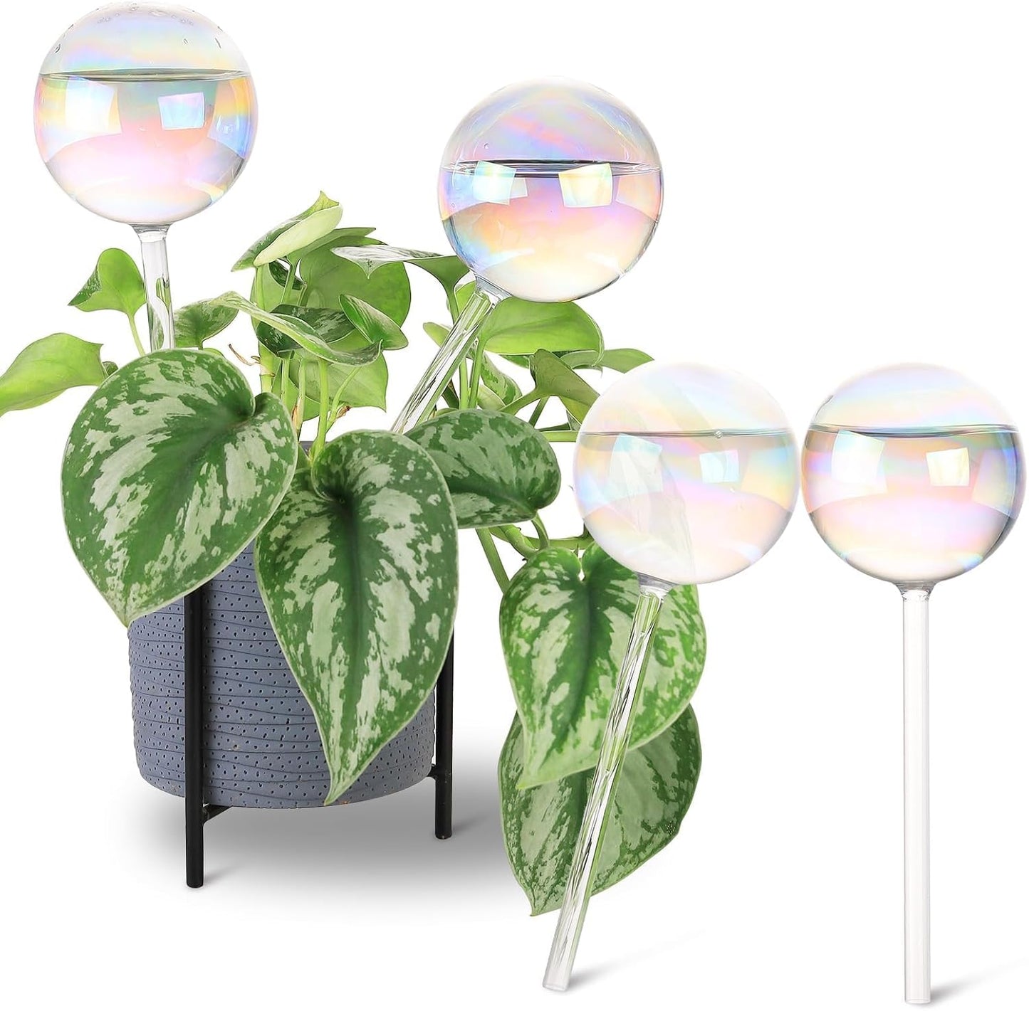 13 oz Up to 2 Weeks Extra Large Plant Self Watering Globes, Light Iridescent Glass Water Bulb Indoor, Plant Waterer Self-Watering Stakes, Perfect Gardening Gifts, 4 Pack