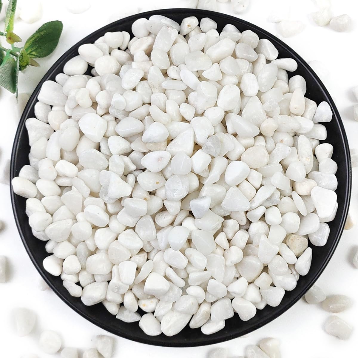 2LB Succulent and Cactus Gravel Pebbles, 3/8 Inch Natural Decorative Polished Stones, River Rocks for Plants, Vases, Aquariums, Terrarium and Outdoor Gardening, White
