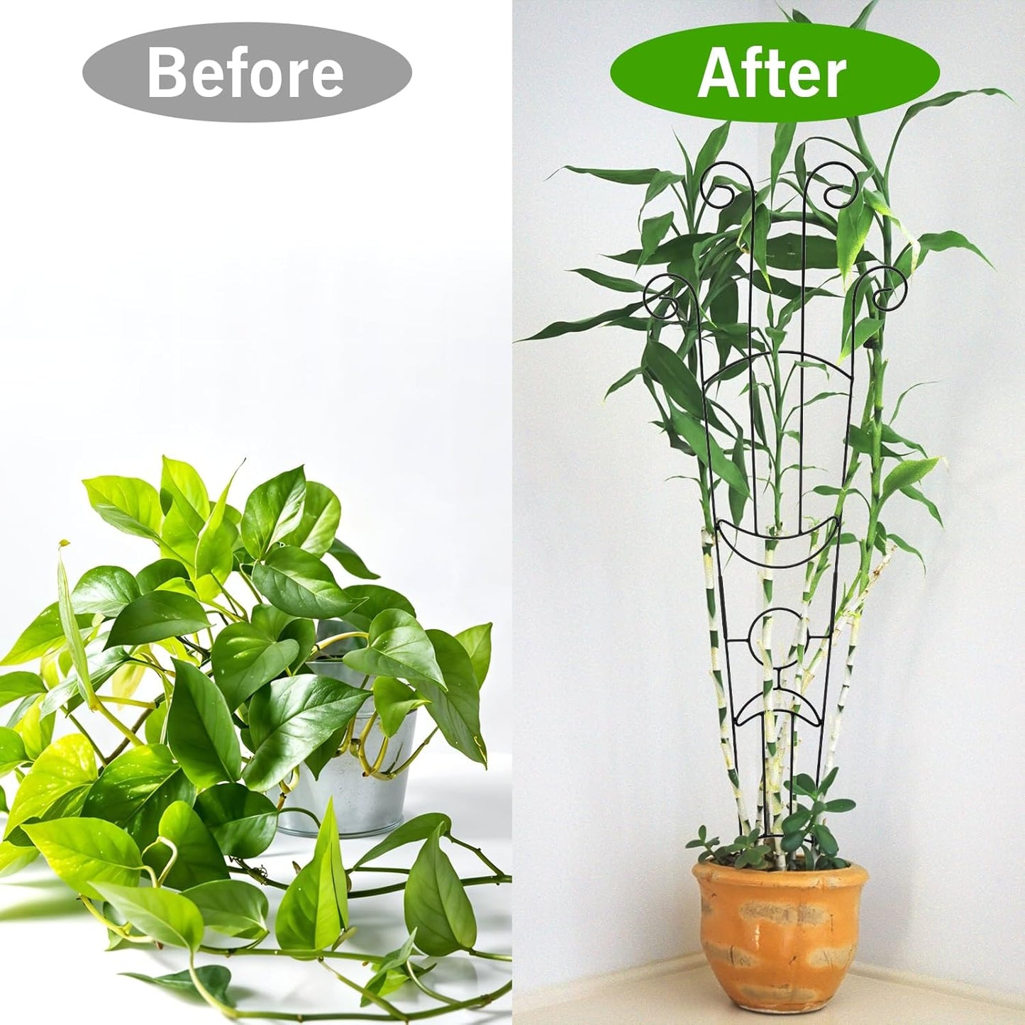 4 Pack Plant Supports, 32 in Taller Plant Trellis for Climbing Plants Indoor, Sturdy Houseplant Trellis for Potted Plants with Ties, Vine Plant Support for Monstera Pothos Ivy, Plant Decor