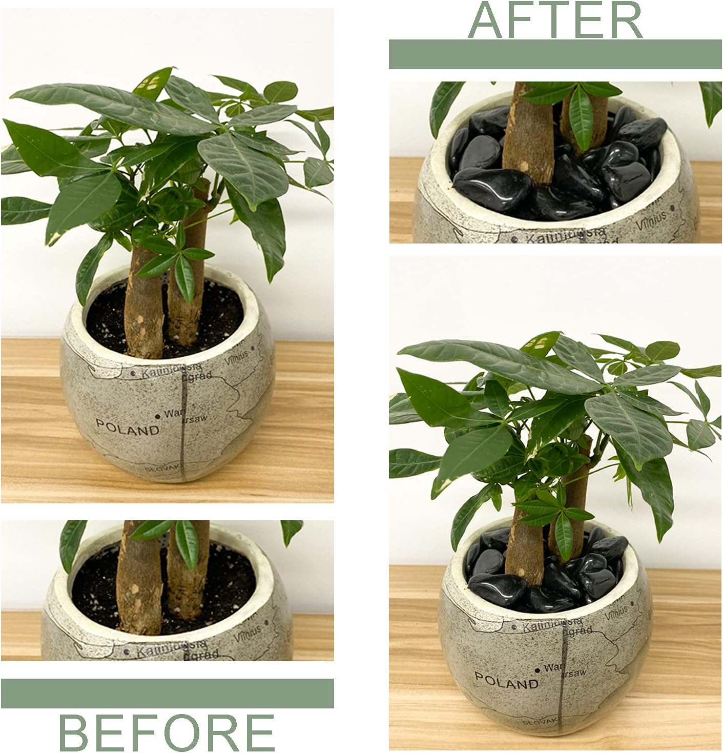 10 lbs Black Pebbles for Plants, 0.8-1.2 Inch Small Polished Stones. Decorative River Rocks for Outdoor Landscaping Vase Aquarium and Garden