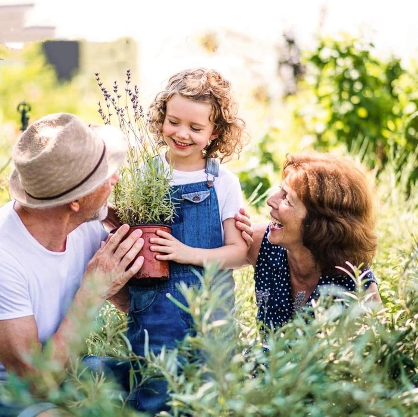 100 PCS 6.7 Inches Plastic Plant Nursery Pots, Reusable for Succulents, Seedlings, Cuttings, Transplanting,Seedlings Plastic Plant Pots with Drainage Holes