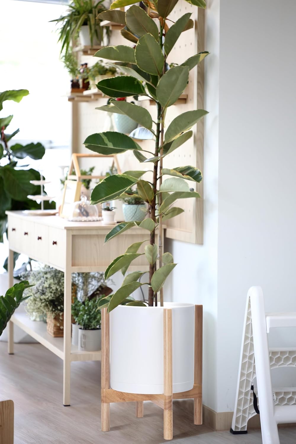 D'vine Dev Planter Pot with Stand - 12 Inch Plastic Cylinder Flower Pot with Wood Planter Holder for Indoor, Matte White Pot + Natural Stand, 55-C-P-1