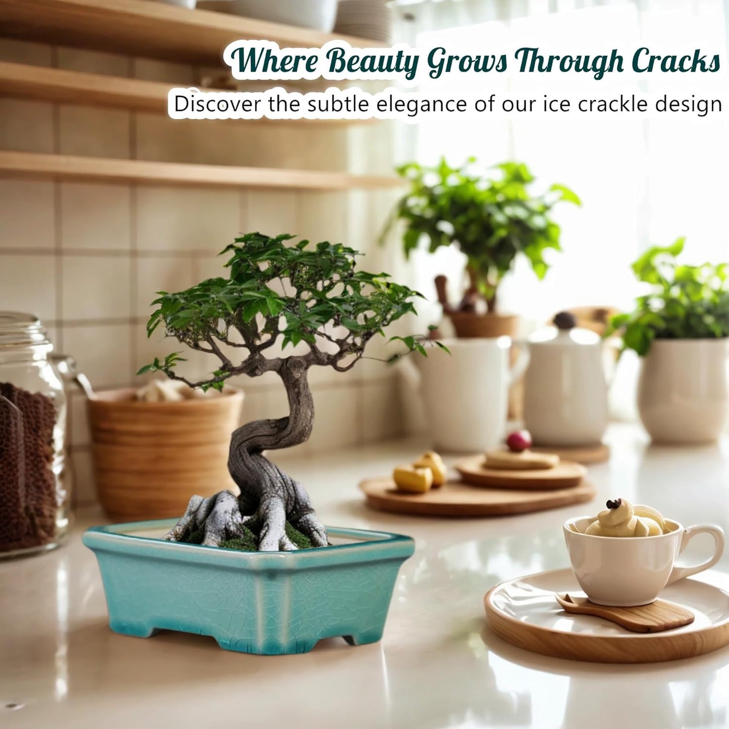 FFPOPU 3-Packs Ceramic Bonsai Pots with Drainage Tray, 6-inch Cute Bonsai Tree Pot with Ice Cracked Glaze, Small Bonsai Planter Pot for Desktop Decoration