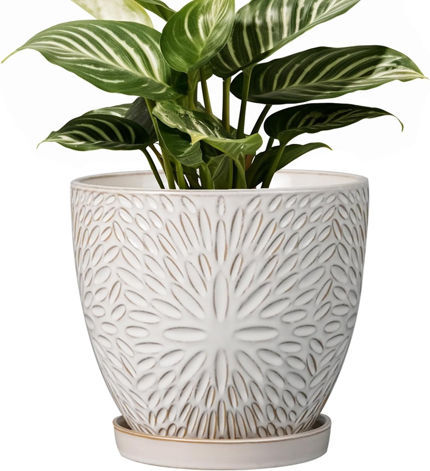 G EPGardening 7 Inch Plant Pot for Indoor Plants Outdoor Round Ceramic Planter Decorative Flower Pot with Drainage Hole and Saucer White