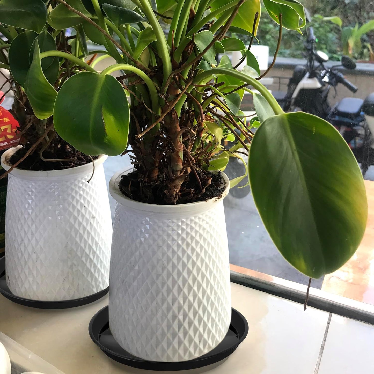 Kichwit 4 Pack 11.75 Inch Plant Saucer, Round Plastic Plant Trays for Indoor & Outdoor (Black, 11.75 Inch)