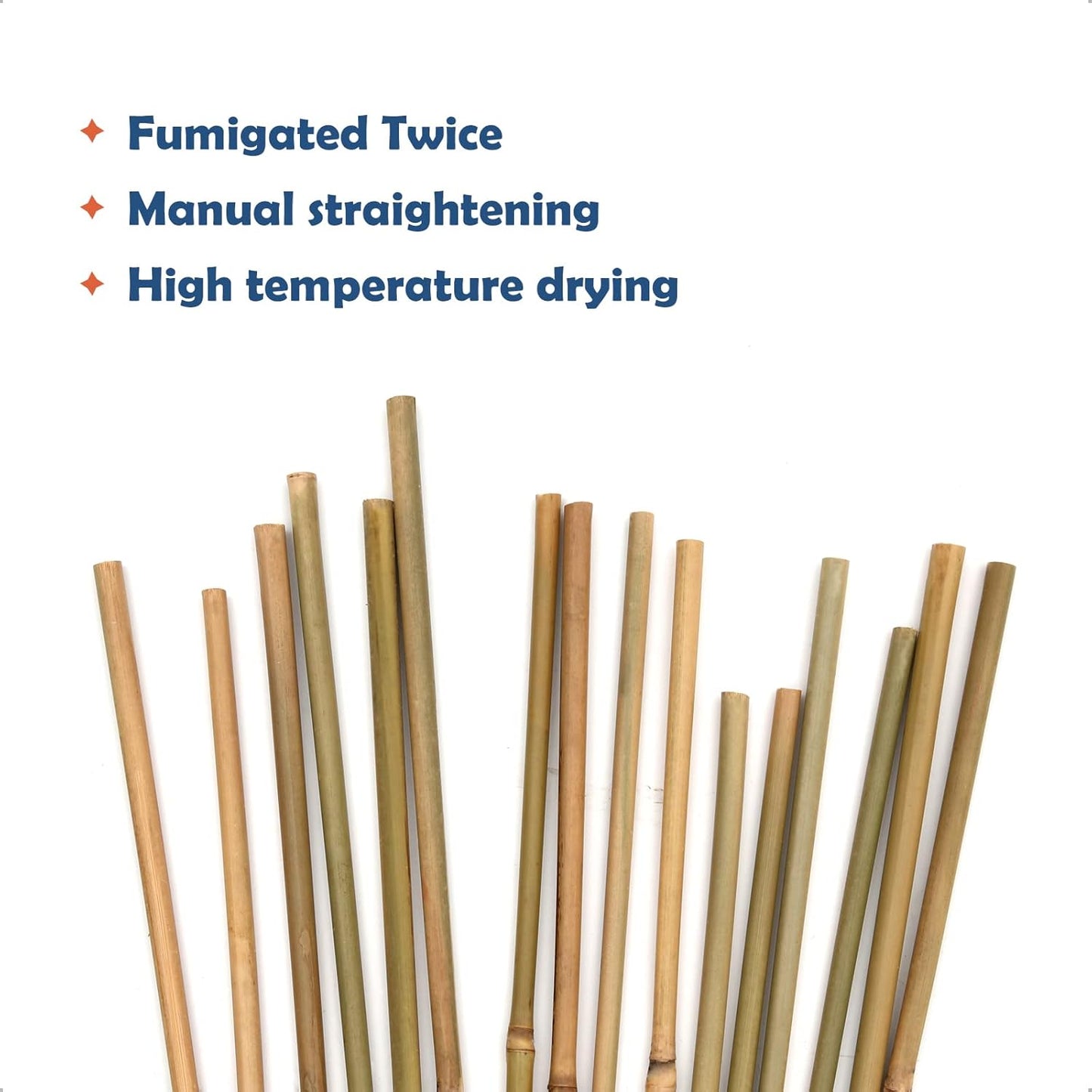Bamboo Stakes 2FT Garden Stakes Plant Stakes for Indoor Potted Climbing Plants Poles Sticks Support Peppers Orchid Daffodils 30 Pack