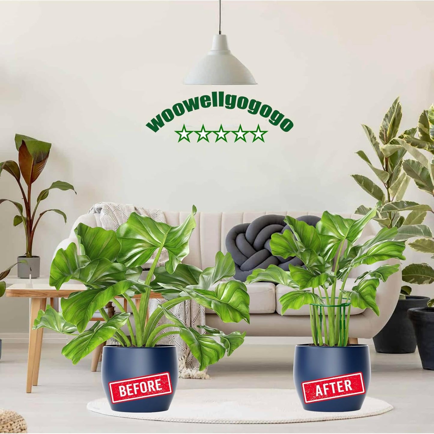 10-Pack Adjustable Height Snake Plant Support Stakes- Sturdy, Rust-Resistant Plant Supports for Indoor and Outdoor Potted Plants (16x10Inch) - Flower and Garden Peony Support