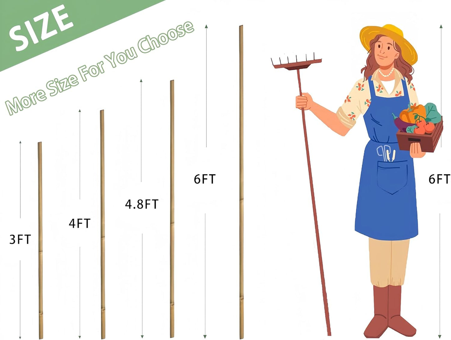 Plant Bamboo Post,4Feet,Bamboo Garden Stakes,65PcsBamboo Stakes,for Tomato,Beans,Vegetable and Flowers, Potted Plants,Indoor and Outdoor Climbing Plants