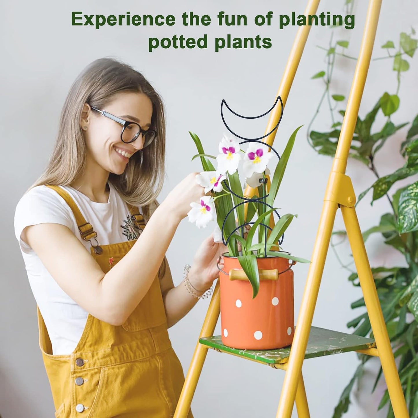 Indoor Plant Trellis for Climbing Plants, 16inch Small Garden Metal Trellis for Potted Plants Outdoor with Different Patterns for Vine Ivy Flower Plant Support 4 Pack